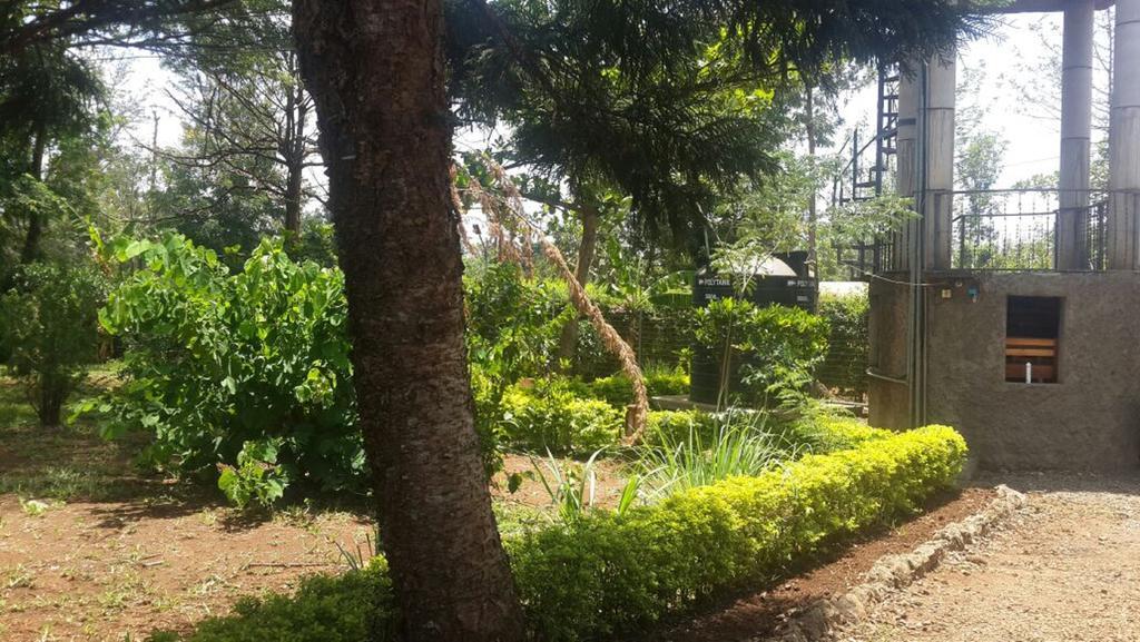 Mama Simba Bed And Breakfast Moshi Extérieur photo
