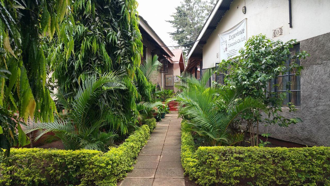 Mama Simba Bed And Breakfast Moshi Extérieur photo